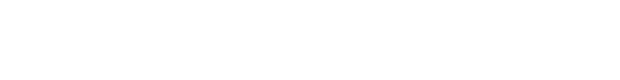 Signal Festival